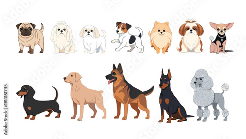 Comprehensive set of various dog breed illustrations including small pugs and large german shepherds in different poses and colors.