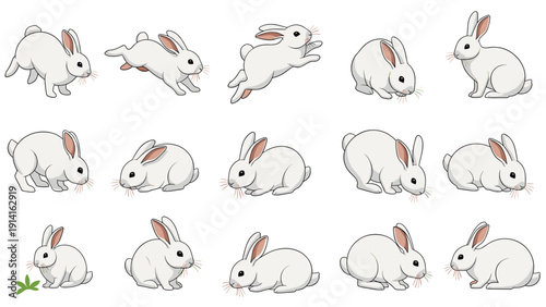 Large collection of white rabbits shown in various natural poses like sitting, jumping, running, and eating grass.