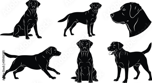 Black Labrador Retriever silhouettes set, different poses and angles, dog breed illustration, isolated vector clipart collection on white background