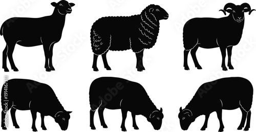 Sheep and ram silhouettes collection, farm livestock animals standing and grazing, rural agriculture illustration isolated on white background design