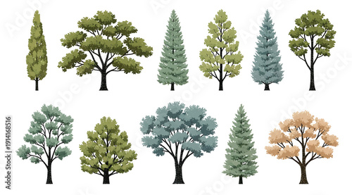 A collection of different types of trees on a white background