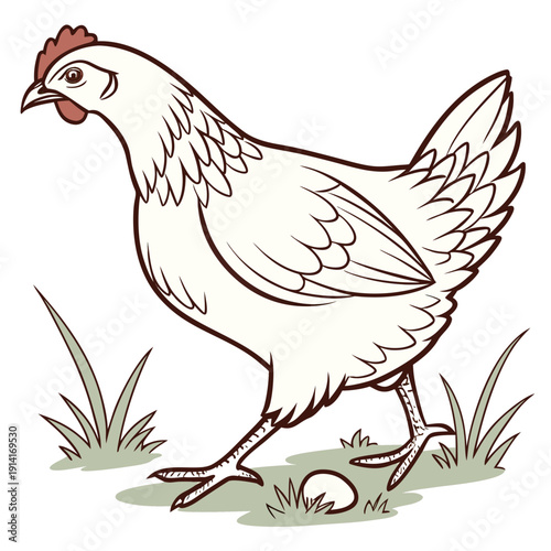 White chicken standing on grass with egg bird farm animal