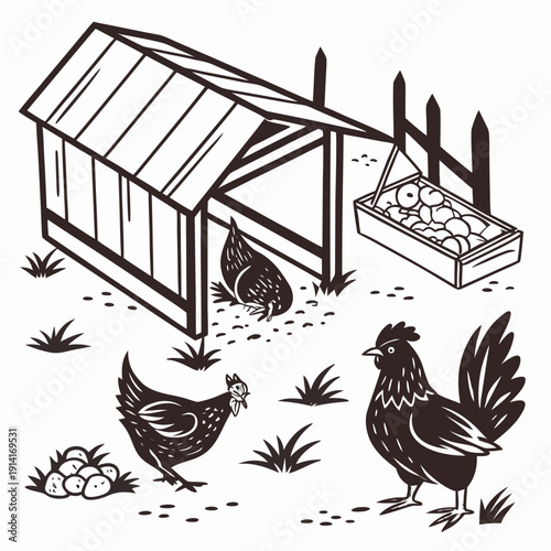 Chickens near coop with eggs farm poultry