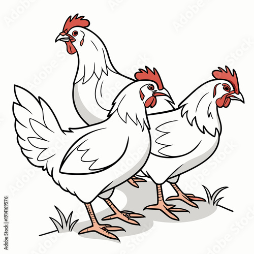 Three white chickens standing on grass cartoon chickens