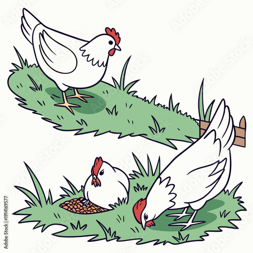 White chickens eating seeds on grass birds farm animals
