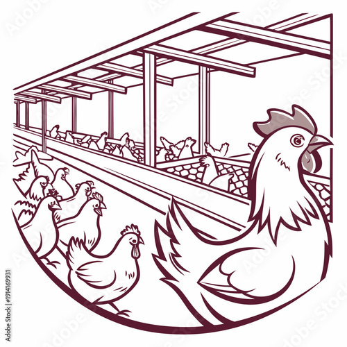 Chickens in a coop with large rooster in foreground