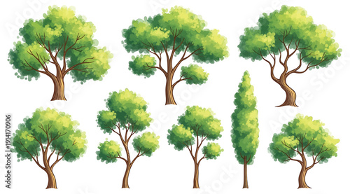 A group of trees with green leaves on a white background