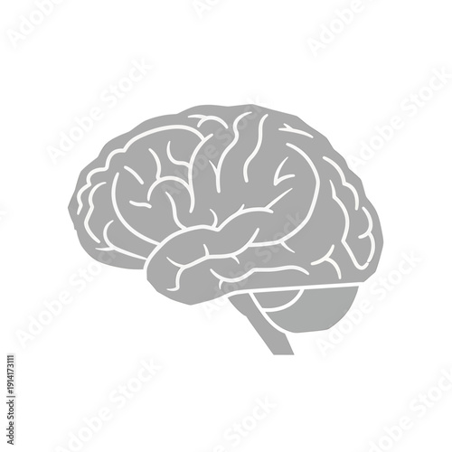 A detailed illustration of the human brain showcasing its intricate structures and functions