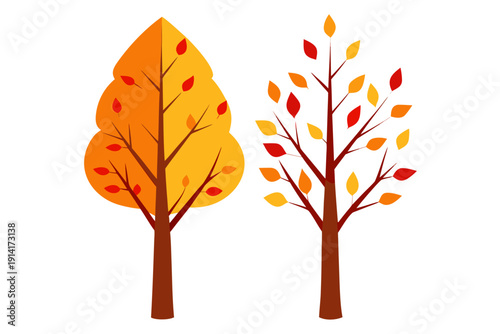 Autumn trees with colorful leaves