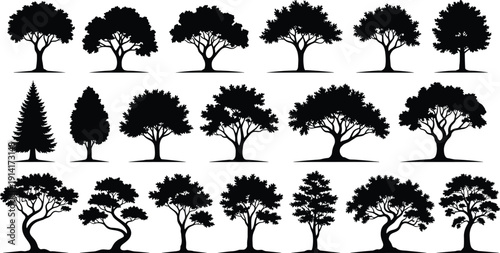 Tree silhouette vector set, black white clipart of forest woodland foliage branching patterns landscape design, nature illustration artwork bundle