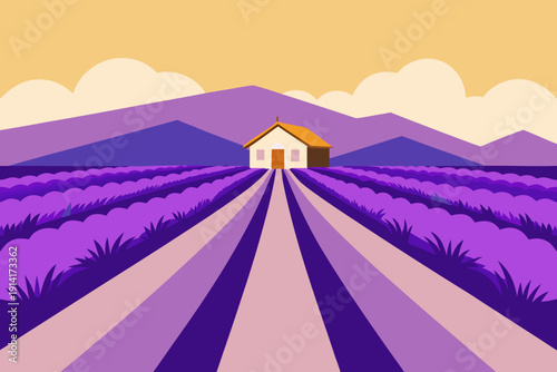 Serene lavender field with a cozy house
