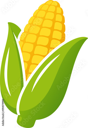 vector illustration of corn