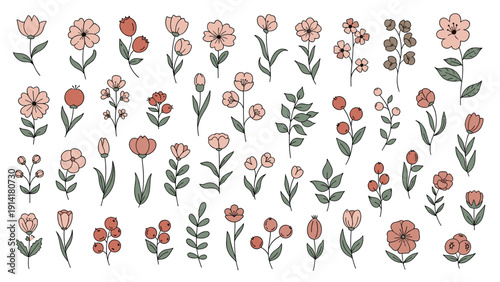 Extensive collection of forty eight small flower and berry illustrations in a soft pink and green palette for delicate floral designs.