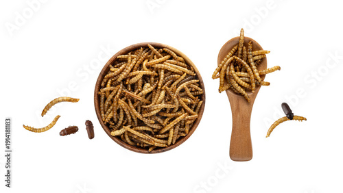 Tableau sur toile Dried edible mealworms and beetle in bamboo wooden spoon isolated on white background