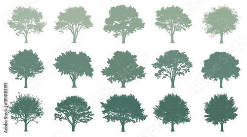 A collection of tree silhouettes in various shades of green