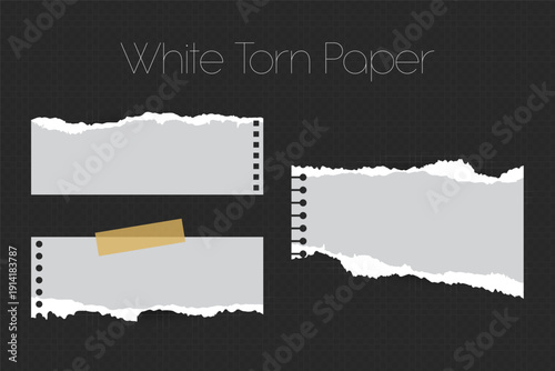 Realistic Torn White Paper Texture with Ripped Edges on Transparent Background