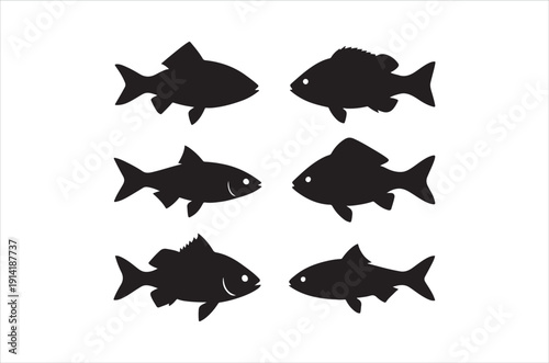 Six black silhouettes of various fish arranged in a grid pattern