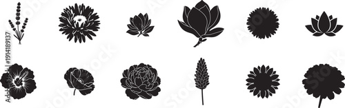 Black flower icon set, 11 elements. Includes various blooms and buds.