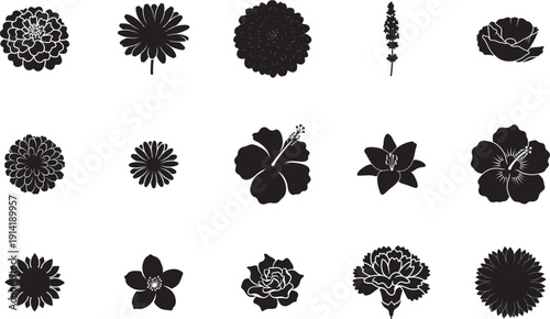 Black floral icon set. Includes 13 flower, blossom, and plant symbols. Created in solid black style with white background.