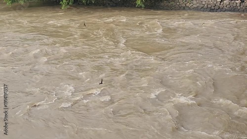 Turbid river current flowing after heavy rainfall. Muddy water surface moving rapidly downstream. Flooded stream carrying sediment during storm season. Brown liquid turbulence in natural channel. 