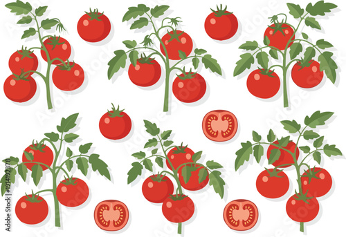 Fresh Ripe Tomatoes on the Vine and Sliced Halves A Vibrant Collection of Garden Produce