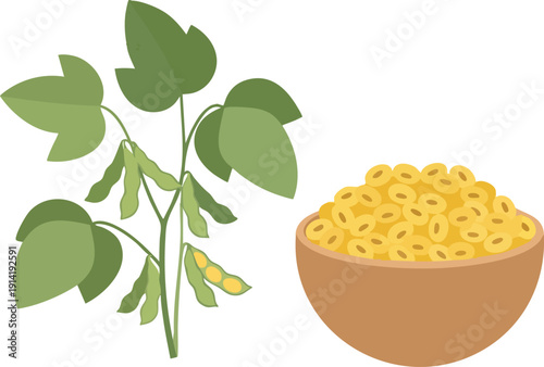 Soybean plants and a bowl of soybeans, healthy food and agriculture concept
