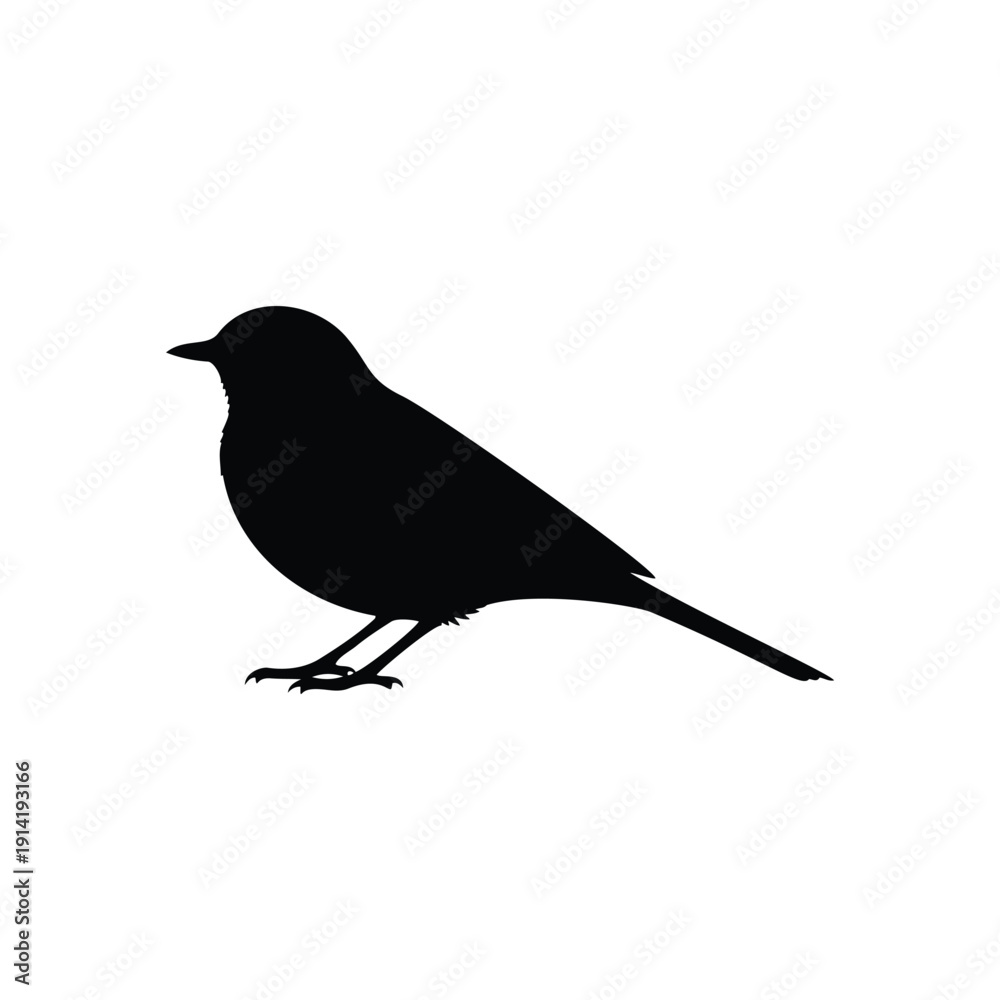 Obraz premium White wagtail silhouette vector flat illustration design.