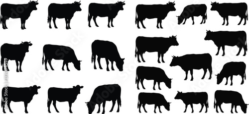 Black silhouettes of cows in various poses