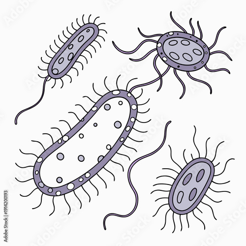 Purple bacteria with flagella and cilia microorganisms