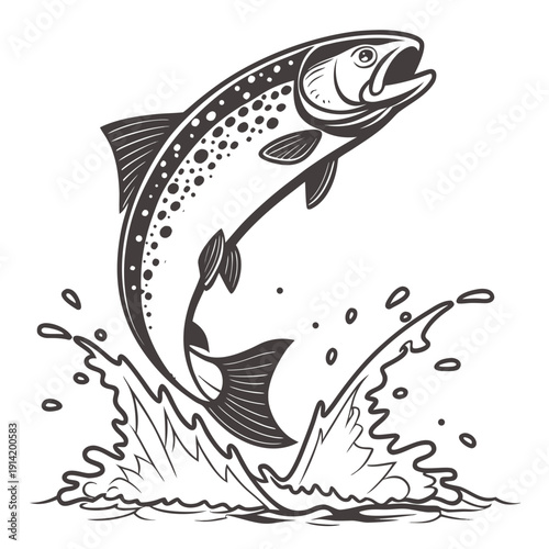 Jumping trout with water splash fish jumping fish black and white