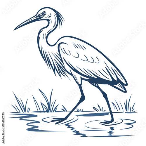 Fotografie Blue heron standing in shallow water with grass bird