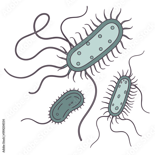 Bacteria with flagella and pili on white background 5
