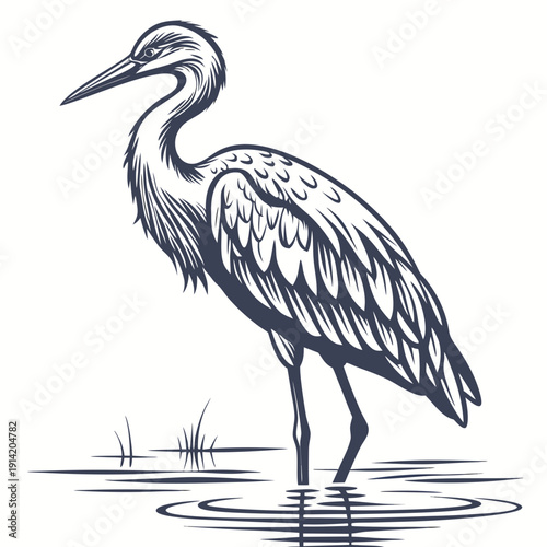 Heron standing in water with ripples and grass bird