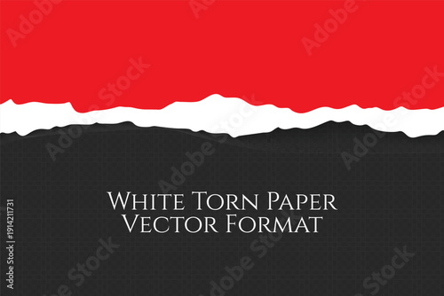 Realistic Torn White Paper Texture with Ripped Edges on Transparent Background