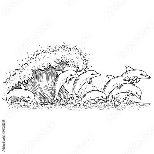 Dolphins jumping out of ocean wave in black and white illustration with splashing water