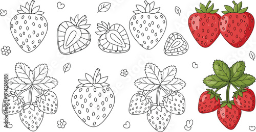 Set of cute strawberry vector illustrations featuring ripe red berries green leaves and woven baskets with black and white line art versions perfect for stickers scrapbooking children's coloring books