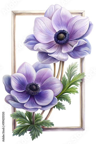 Two lovely purple anemone flowers within a light colored wooden frame