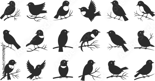 Black silhouettes of birds on tree branches white background