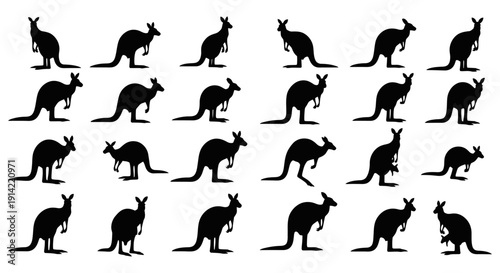 Collection of black kangaroo silhouettes in various poses on white background animal icons