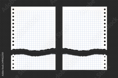 Realistic Torn White Paper Texture with Ripped Edges on Transparent Background