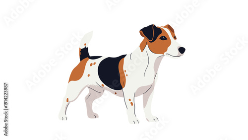 Small Jack Russell Terrier dog with white, brown, and black spots standing in a profile view on a clean white background.