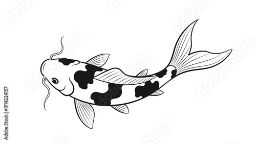 Elegant black and white koi fish with spots swimming gracefully representing traditional Japanese art and garden pond tranquility.