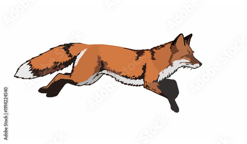 Antique style flying fox engraved vector sketch