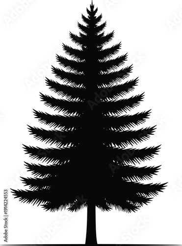 Silhouette of tall coniferous pine tree isolated on white background, natural forest evergreen design element for decoration, botany, forestry, education, and seasonal illustration