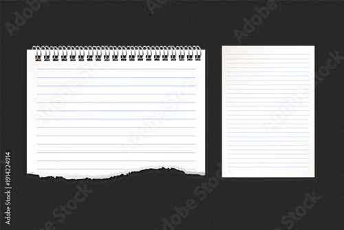 Realistic Torn White Paper Texture with Ripped Edges on Transparent Background