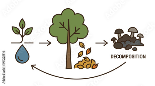 Natural Life Cycle. Plant Growth Decomposition Flow. Ecology Environment Science. Flat Line Art Simple. Isolated Vector Illustration.