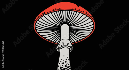 Mystical red and white mushroom standing tall against a dark background