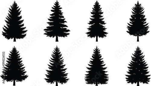 Vector silhouettes of pine trees in diverse shapes and branch patterns, symbolizing nature, forest, landscape, environment, and outdoor design illustration projects