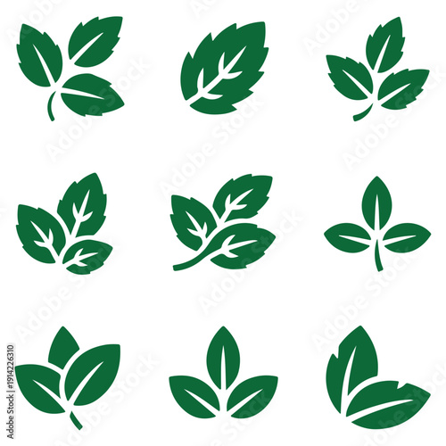 Mint leaf icon set isolated on transparent background for tea and herbal medicine design green foliage symbol dark green vector illustration for freshness and aromatherapy garden concepts