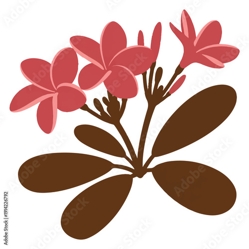 Tropical plumeria flower cluster with broad leaves in reddish pink and brown colors for exotic design